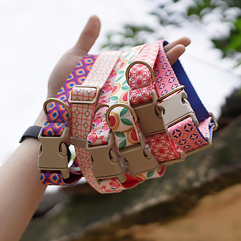 New Design Orange Tulip Adjustable Pet Dog Collar