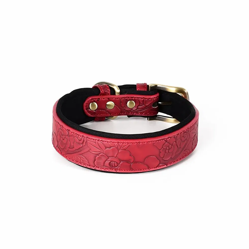 Adjustable Embossing Print Leather Dog Collar with Soft Neoprene Padded Comfort and Fashion for Daily Training Patrol Hiking