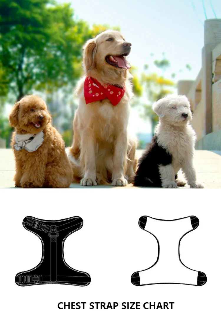 Dog Harness Parameters 1