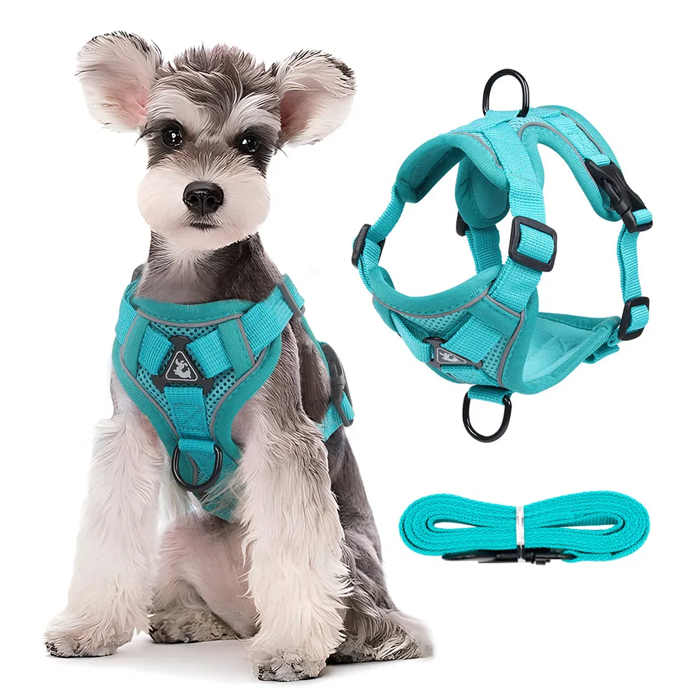 Adjustable Double-Sided Reflective Polyester Mesh Pet Harness Vest and Leash Set