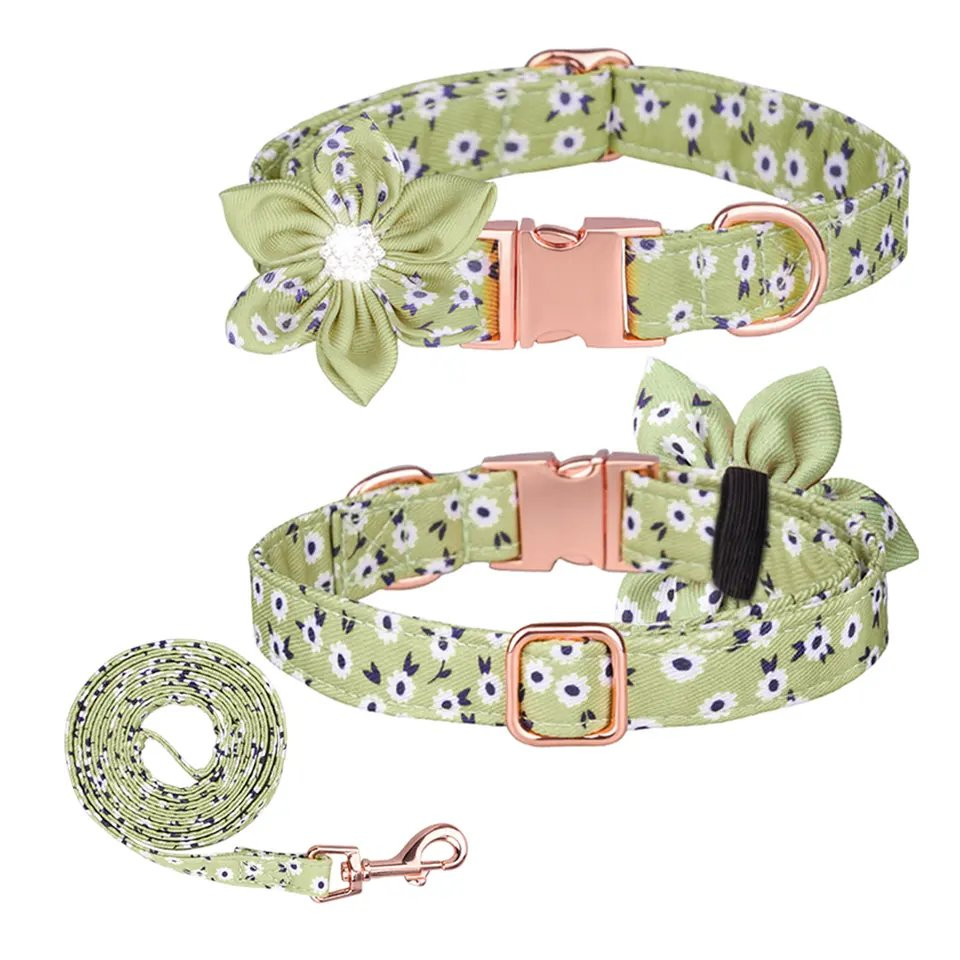 Private Label Personalized Design Floral Pet Dog Collar with Bow for Puppy Medium Dog Walking Jogging