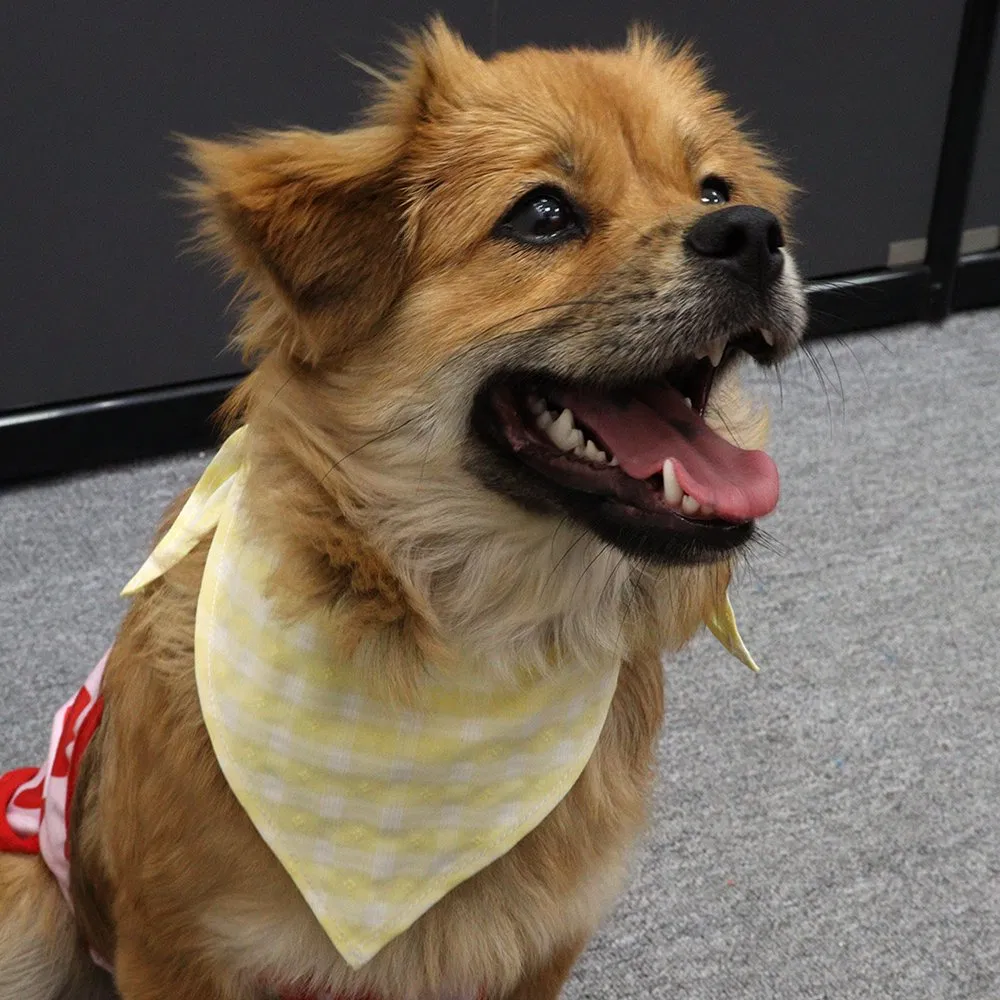 Amazon Hot Sales Pet Cotton Double Layer Printed Plaid Triangle Dog Bandana Customized Scarf Custom Logo Dog Bandana Collar