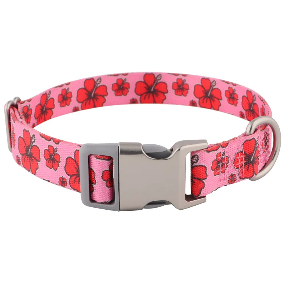 Pet Supplies Factory Design Wholesale Pet Collar with Cute Printing Pattern Floral Collar Pet Necklace Adjustable No Pull OEM ODM Dog Collar