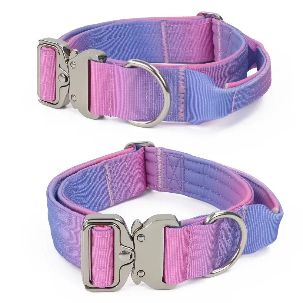 Adjustable Combat Gradient Dog Collar Specification