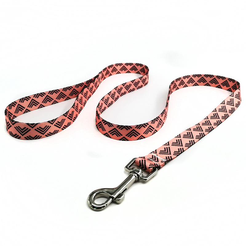 Floral Heat Transfer Pet Dog Running Leash and Collar