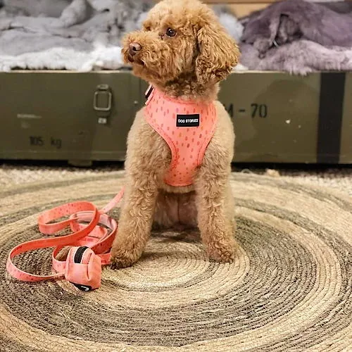 Production Detail 11