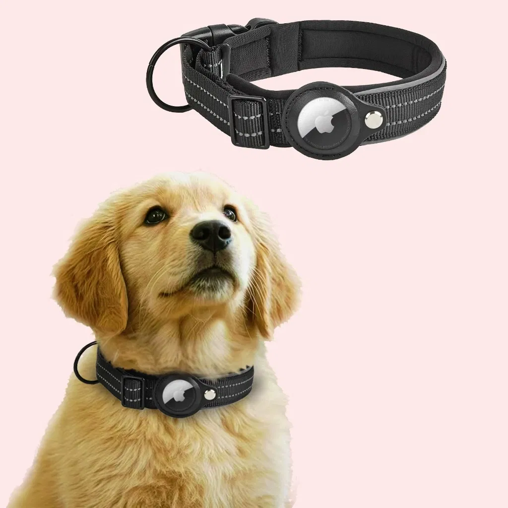 Small Custom Order Acceptable Stock Available Airtag Dog Collar China Wholesale