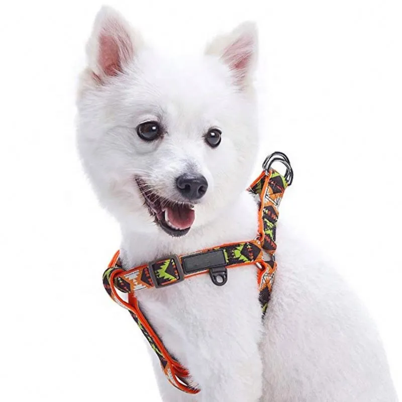 Custom Pet Harness Pattern