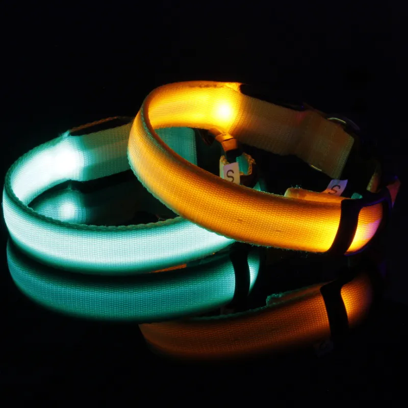 LED Collar 2