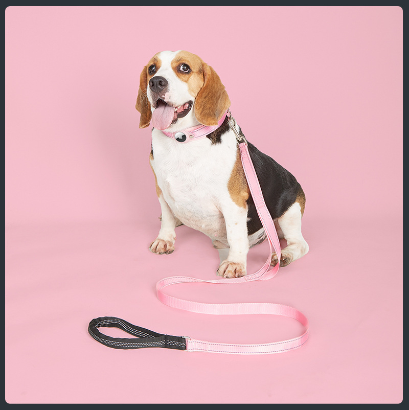 Adjustable Pet Collars with Airtag for Personalized Tracking Pet Product