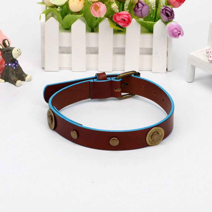Hot Sale Tassel Gold Hardware Genuine Leather Dog Leash and Collar