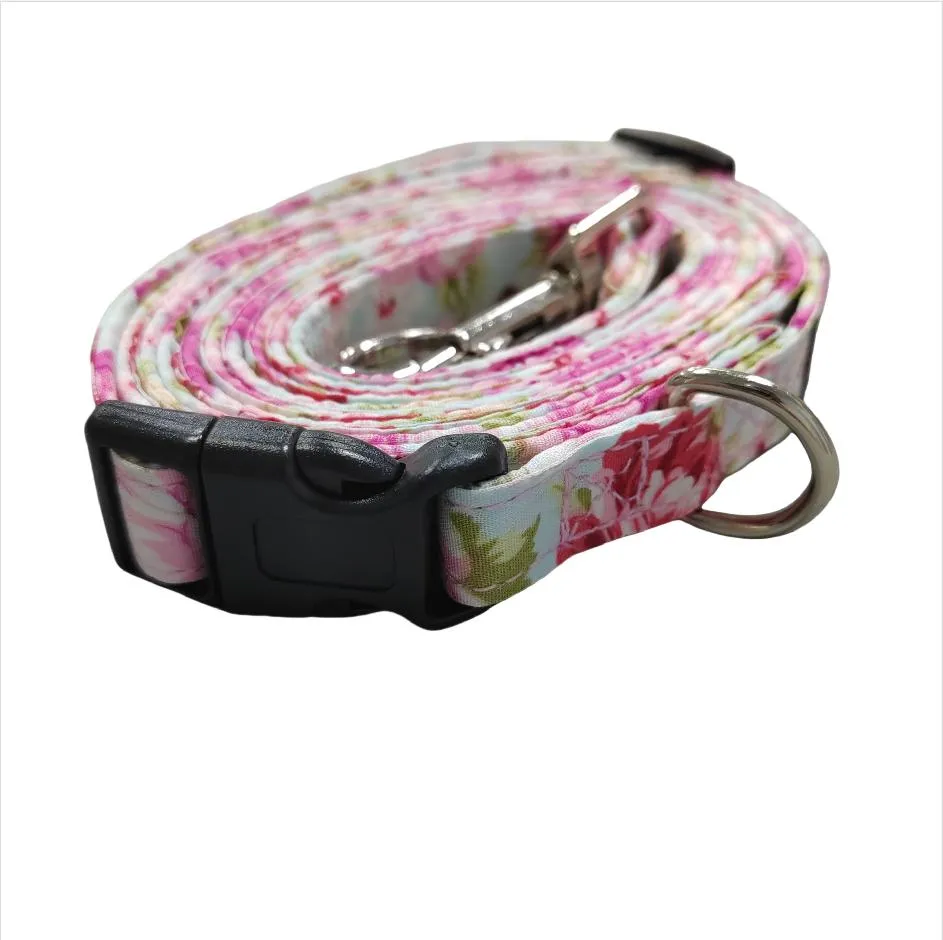 Lace Pet Collar 14