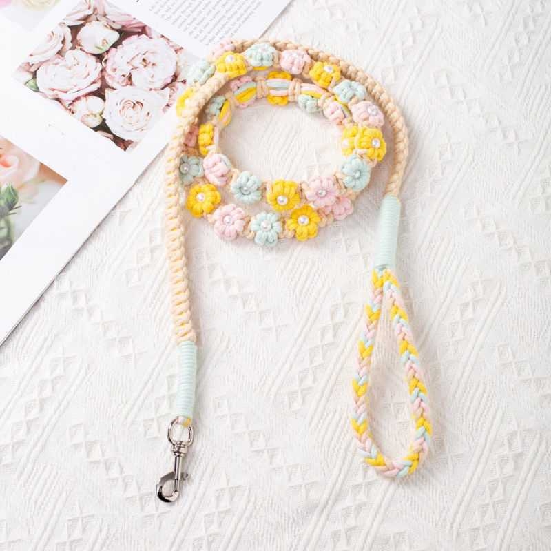 New Design Fashion Color Design Flower Leash Pet Leash Dog Collar
