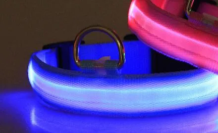 LED Dog Collar 1