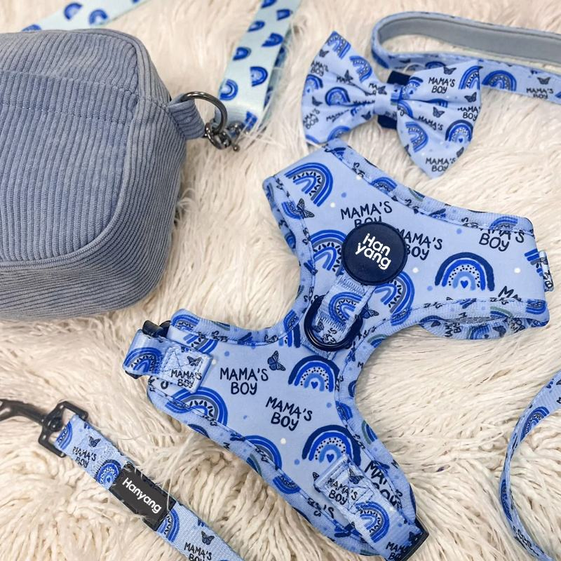 OEM Manufacturers Personalized Soft Padded Adjustable Designer Wholesale Pet Dog Harness and Leash Set Custom Dog Harness
