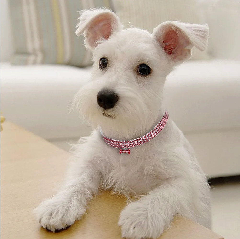 Luxury Crystal Dog Necklaces Pet Collar Diamonds Rhinestone Elastic Dog Collar Bone