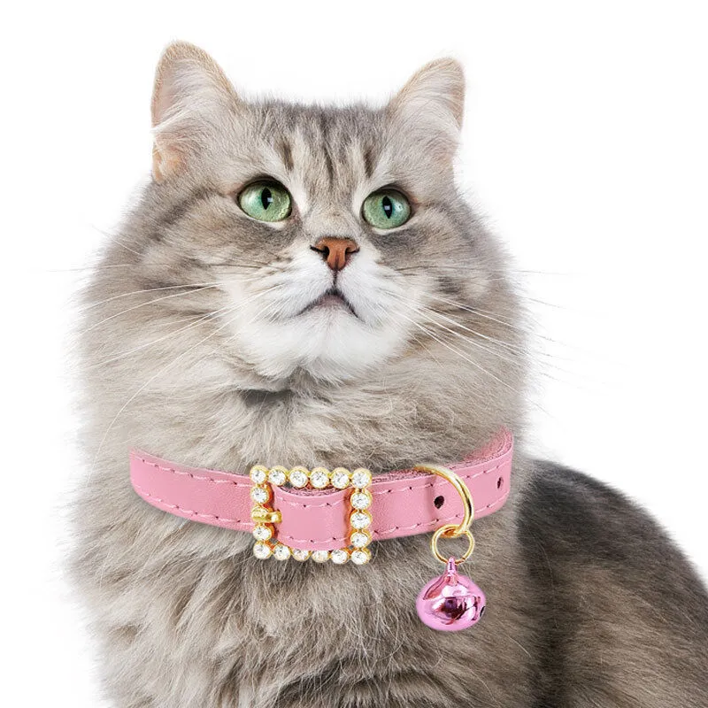 Bling Cat Kitten Collar 1