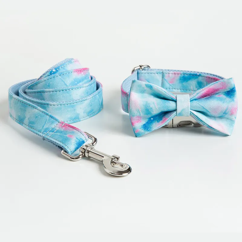 Dog Collar Detail 10