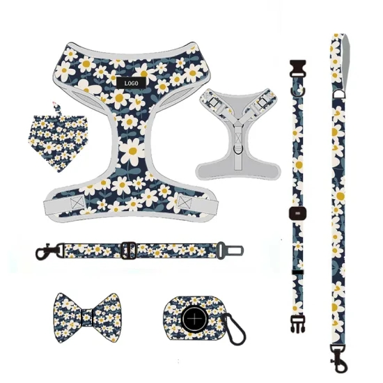 Hot-Selling Pet Supplies Dog Harness Leash Collar Set with Color Personalized Nylon Animal Soft Cushion Pet Toy/Wholesale