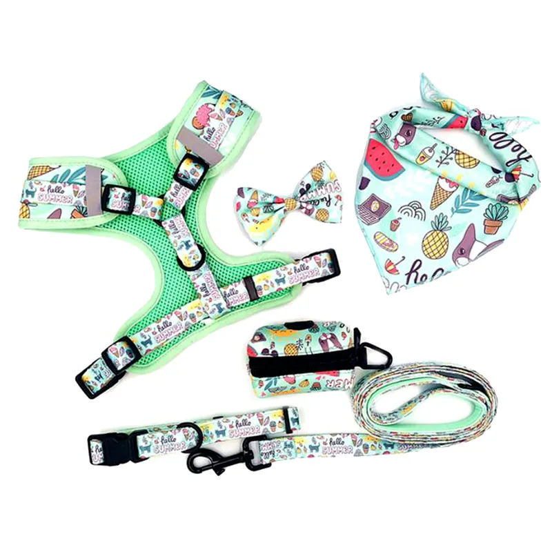 Rainbow Dog Harness Showcase