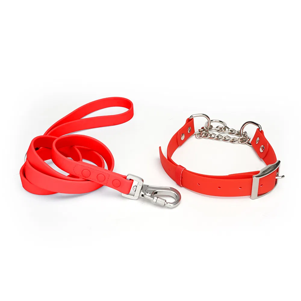 Adjustable Dog Collar 2