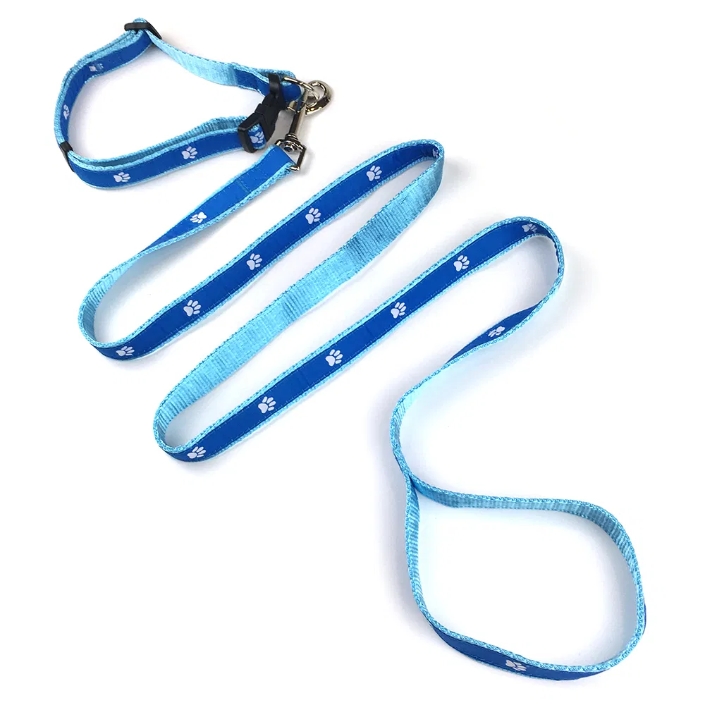 Hot Sale High Quality Custom Polyester Nylon Pet Dog Leash&Collar Set