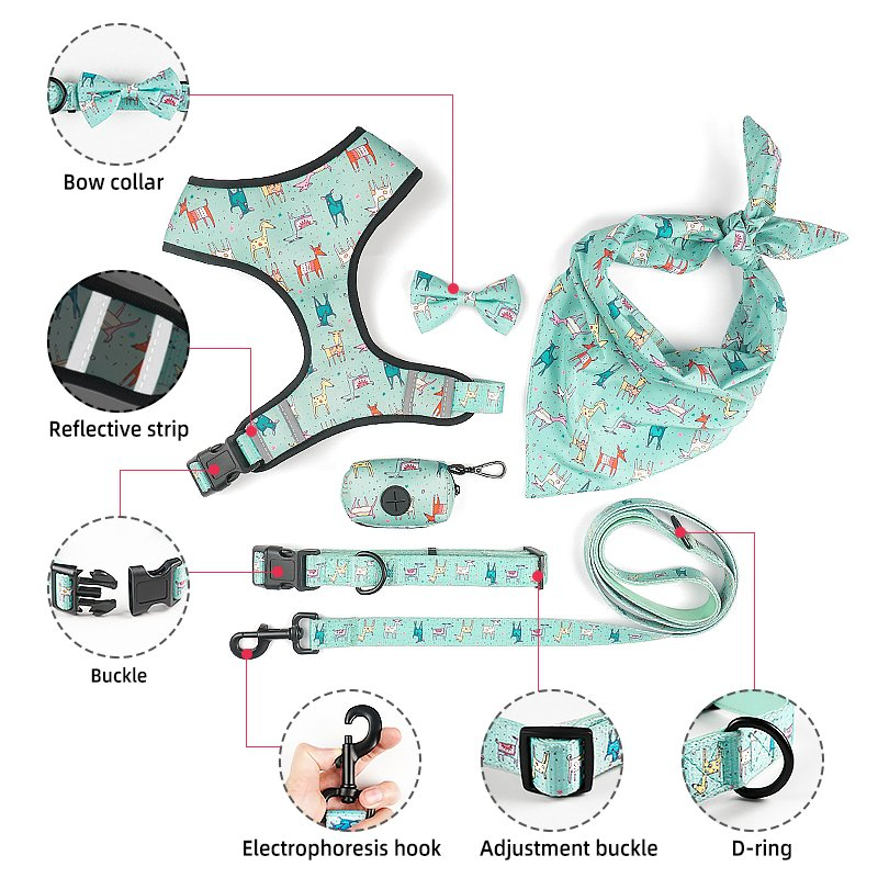 Petisland Factory Manufacturers Designer Custom Pet Clothes Luxury Printed Mesh 6 in 1 Reversible Pet Clothing OEM ODM Dog Harness Leash Bandana Collar Set