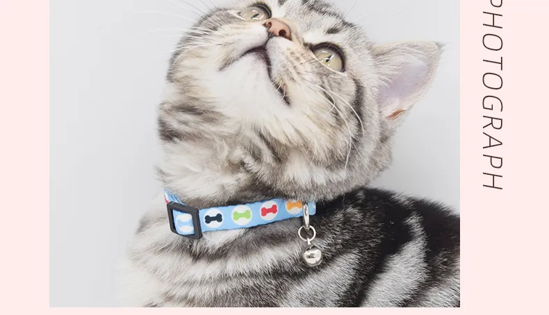 Cat Collar Pattern 11