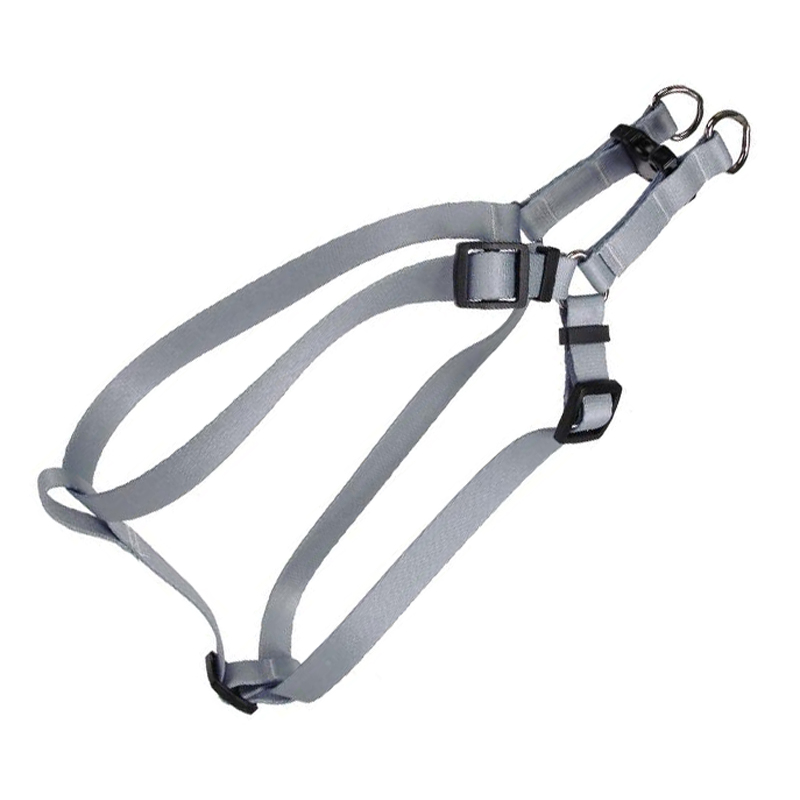 Customized Rainbow Pet Leash Dog Harness