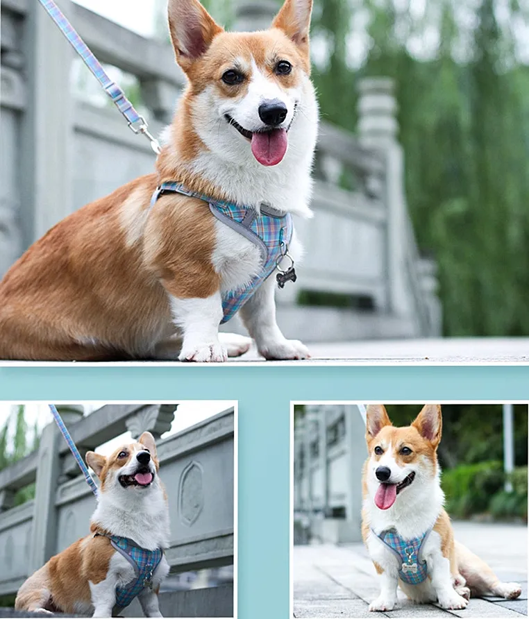 Customized Pet Harness