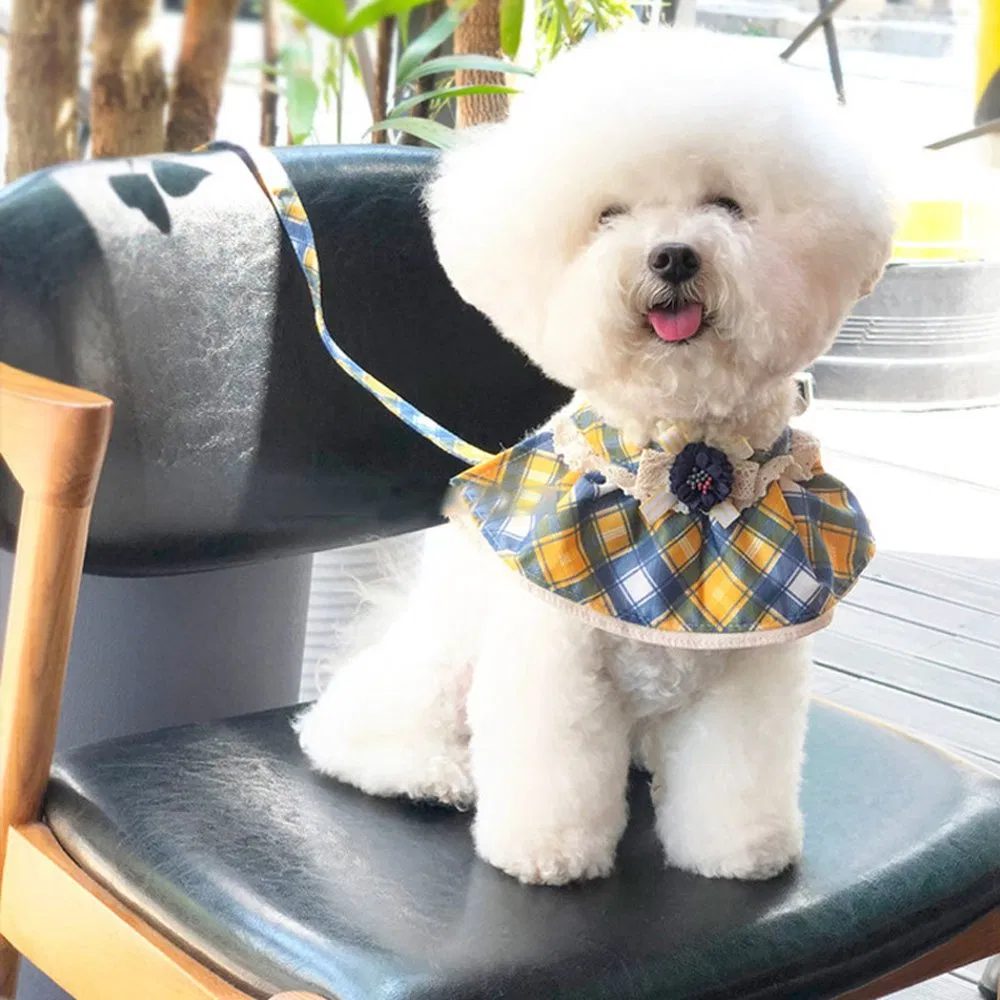 Personalized Design Custom Logo Luxury Cotton Floral Dog Collar with Leash for Small and Medium Sized Dogs