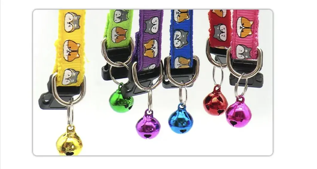 Pet Collar Group 1