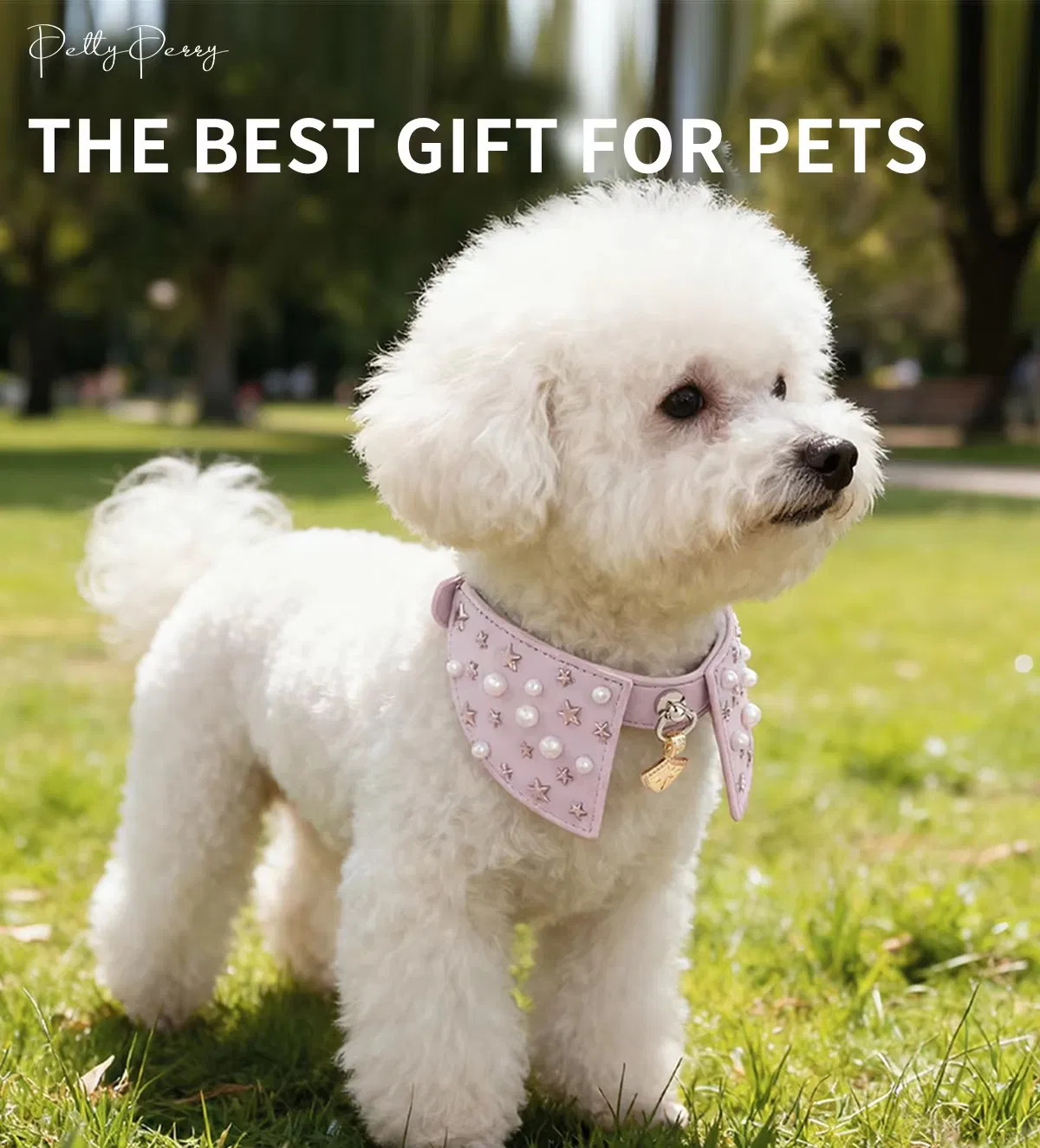 Personalized Color and Bling Decoration Purple Rhinestone Puppy Collar for Small Dogs Wide Safety Vegan Biodegradable Luxury