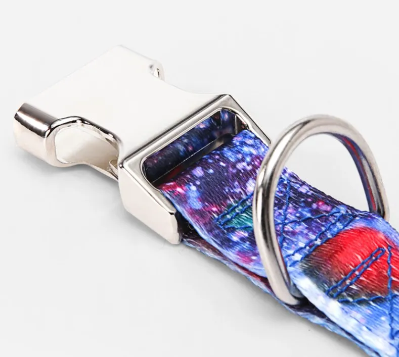 Pet Supplies Dog Collar