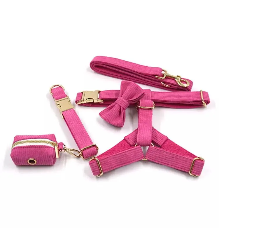 Dog Collar Collection 4