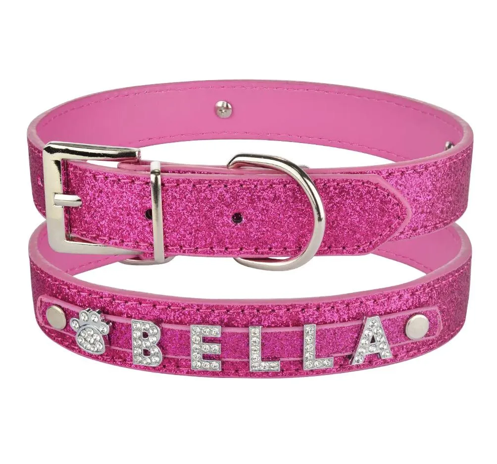 Personalized Dog Collar 1