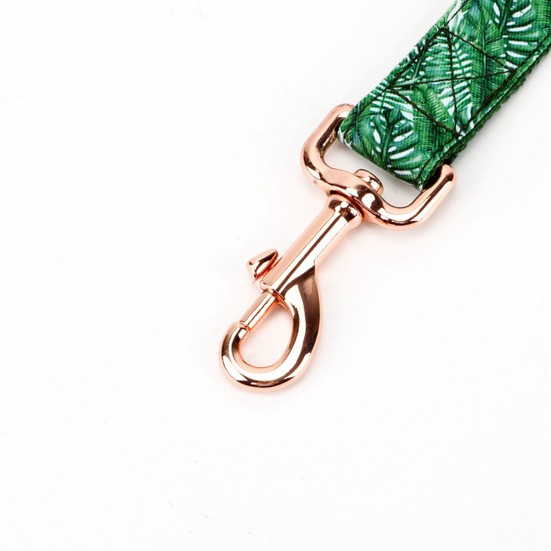 Green Floral or Customized Pattern Leather Logo Come with Lead Pet Collar