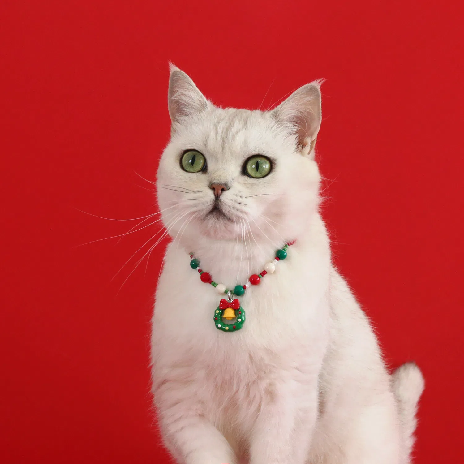 Pet Collar with Bell