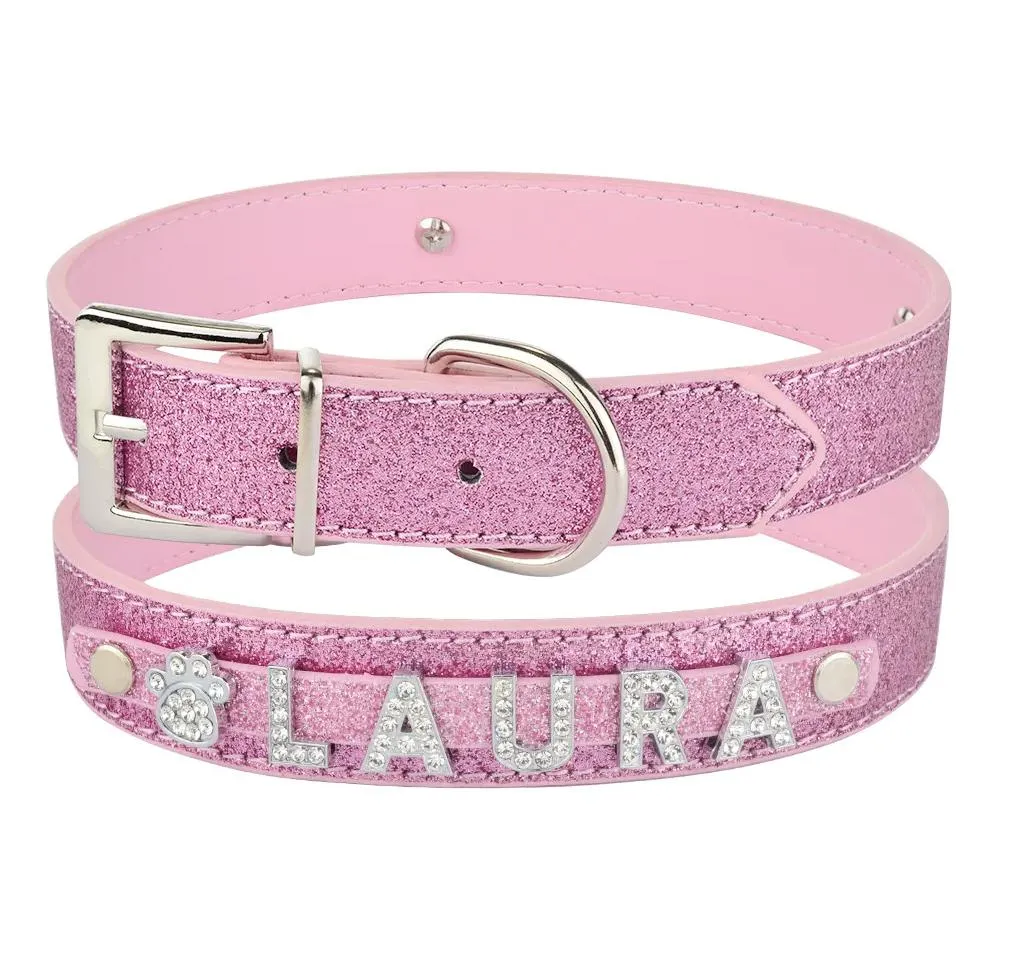 Personalized Dog Collar 5