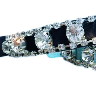 Luxury Dog Collar View 5