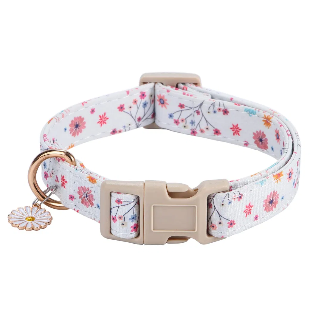 Dog Collar Quick-Release Buckle