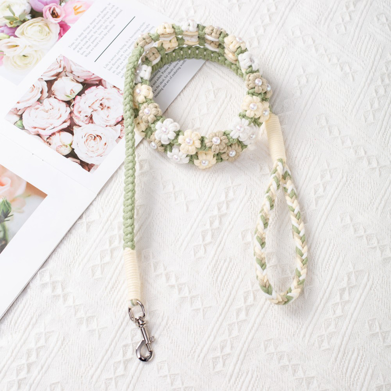 New Design Fashion Color Design Flower Leash Pet Leash Dog Collar