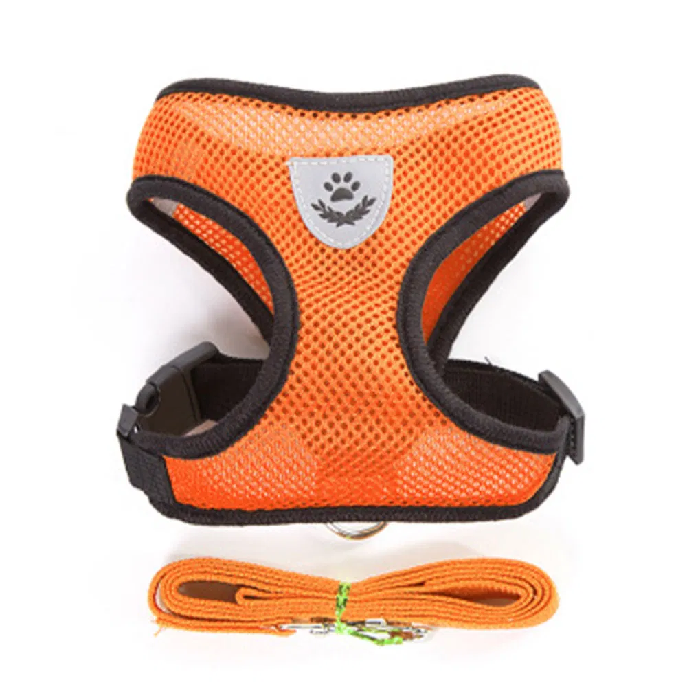 Adjustable No-Pull Pet Harness and Leash Combo for Small Dogs