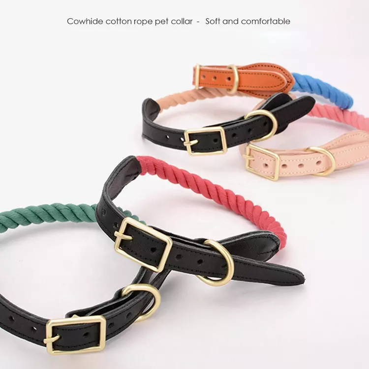 Leather Dog Charm Name Collar Metal Dog Collar and Leash Handmade Collar