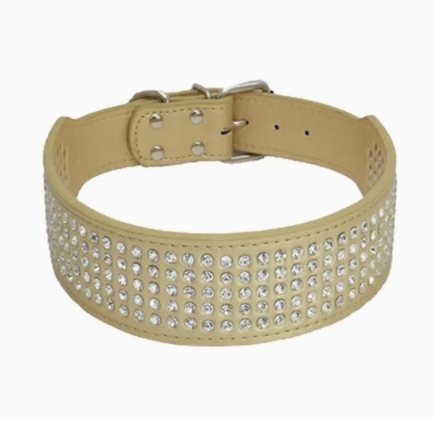Stylish Rhinestone Dog Collar for Medium and Large Breeds