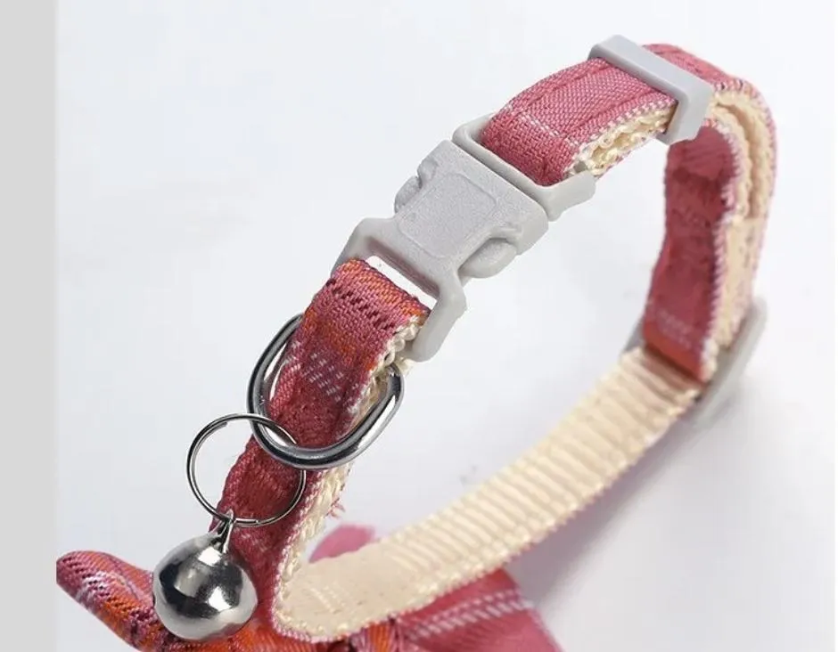 Pet Collar Gallery 4