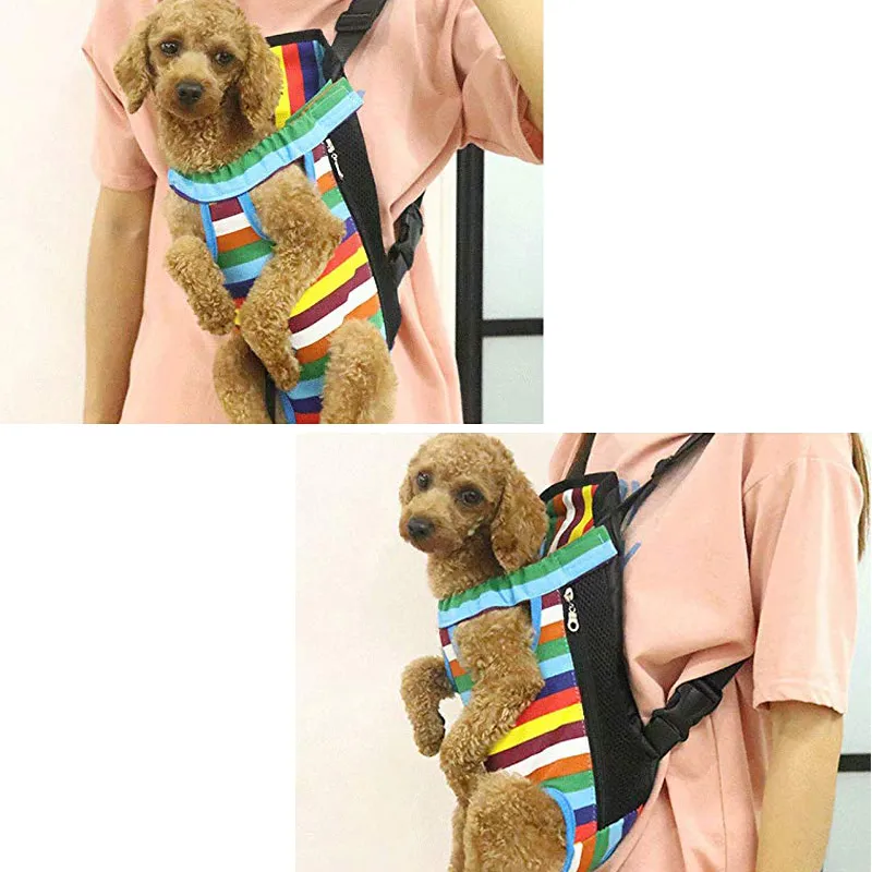 LED Dog Collar Night View