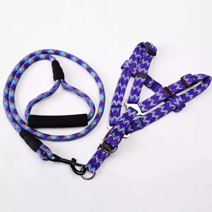 Dog Collar 8