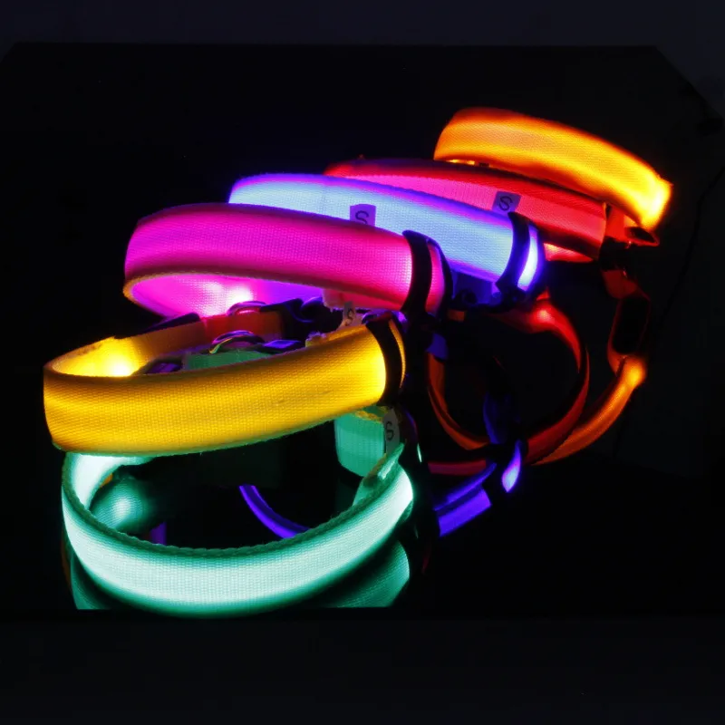 LED Collar 5