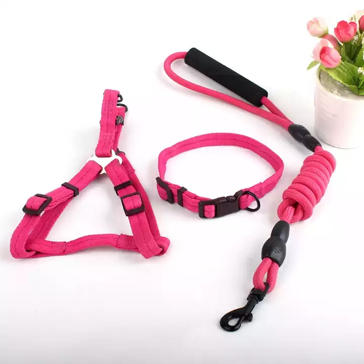 Electronic LED Dog Collar Glow in Dark Pet Luminous Collar Glow Night Anti-Lost Dog Light LED Pet Collar